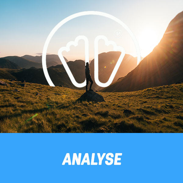 Analyse