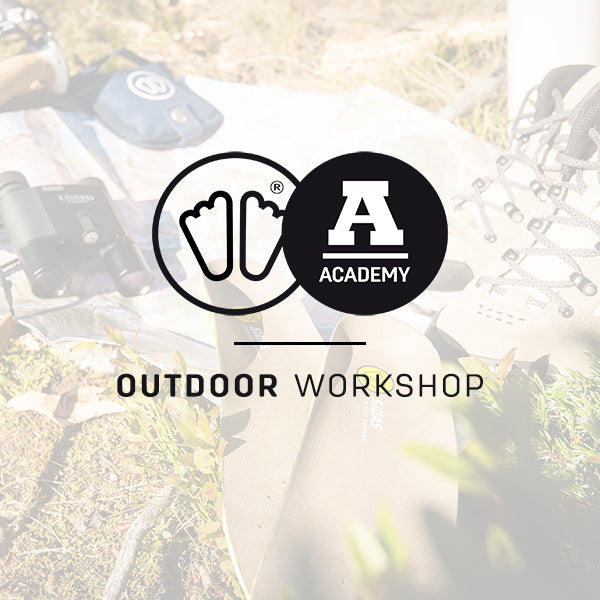 Training & Workshops